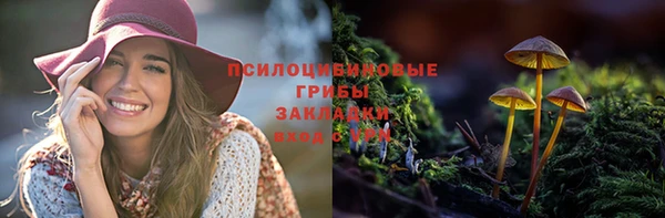 марки nbome Беломорск