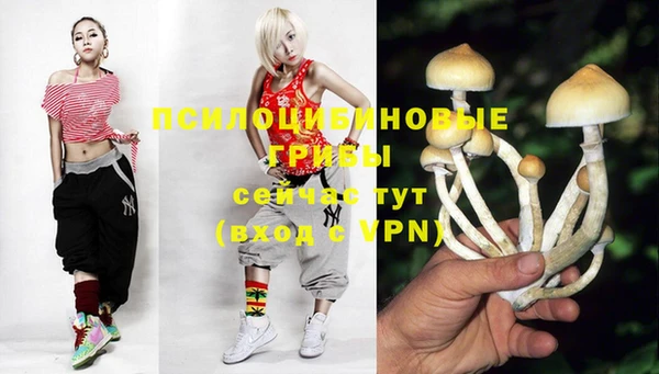 дурь Белоозёрский