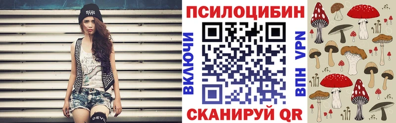Купить закладки  Сорск  Псилоцибиновые грибы Cubensis 